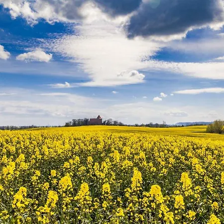 Apartment Sophia Boltenhagen (Ostseebad)